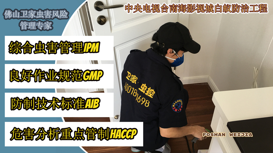 大良白蚁防治所 专业灭治白蚁，守护家园安全