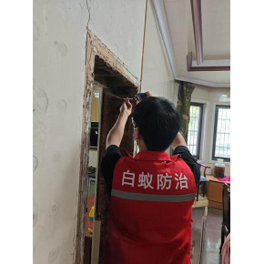 嵊州白蚁防治站 官方治理点，守护家园的白蚁防治专家