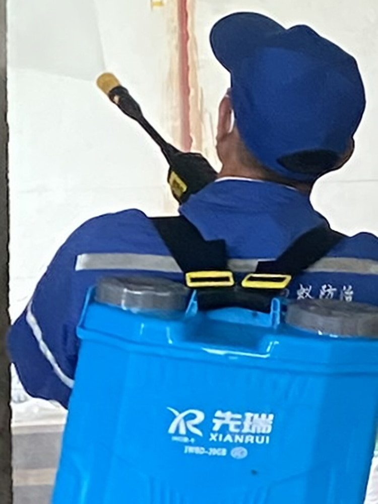从化单位白蚁防治全指南 专业服务如何守护建筑安全