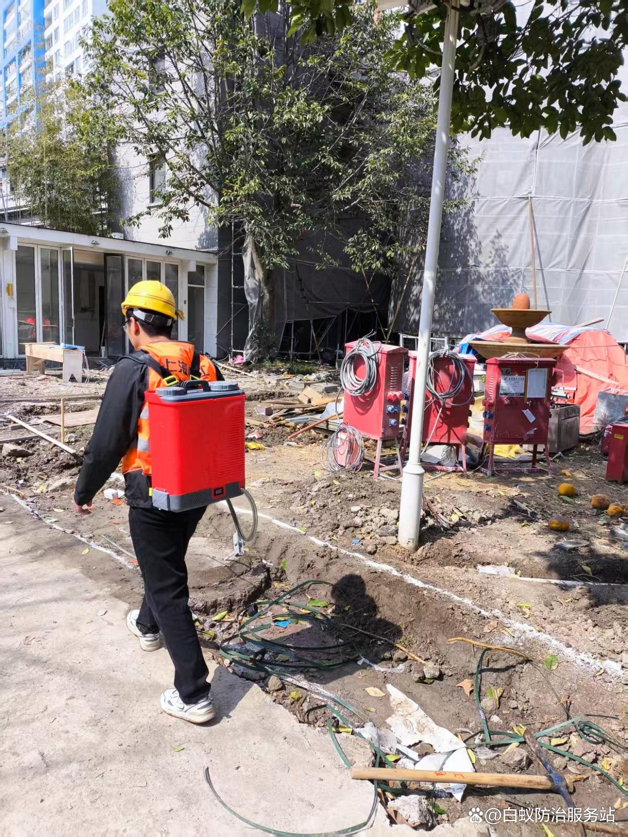 绍兴白蚁防治服务指南 专业防治所电话与全方位白蚁解决方案