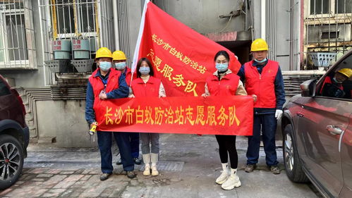 市白蚁防治站开展白蚁防治宣传和白蚁危害检查灭治志愿服务活动